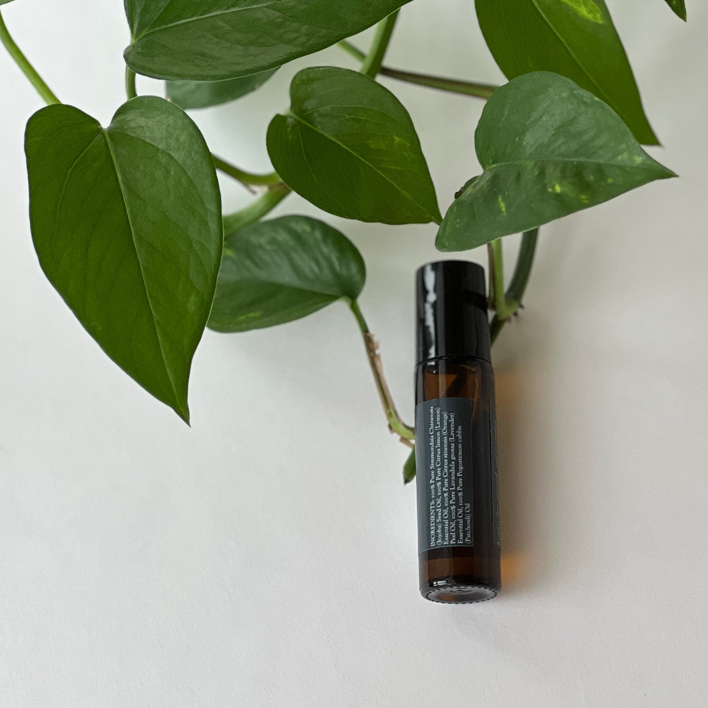 Essential oil roller ball on a white background with green leaves of a Pothos plant.